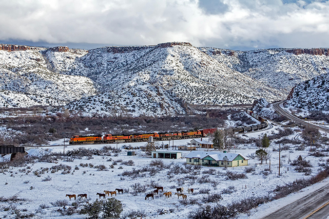A mixed freight train passes grazing horses near Valentine, Arizona.