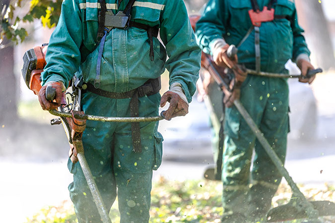 Weedwhackers are used to help clear vegetation  Weedwhackers are used to help clear vegetation